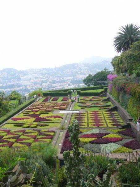 Apartamentos Jardim Funchal  Eksteriør billede