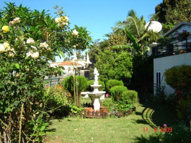 Apartamentos Jardim Funchal  Eksteriør billede